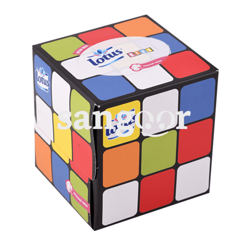 LOTUS-DISTRIBUTEUR-KIDS-80P