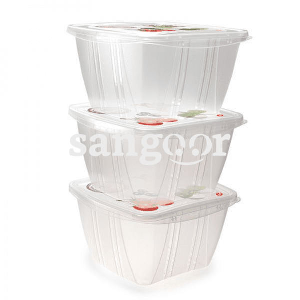 SNIPS CONTAINER CARRE 1L 3P