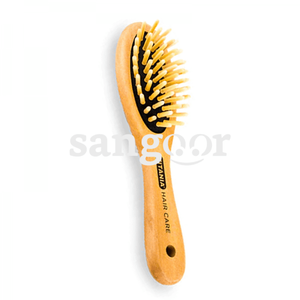 TITANIA BROSSE CHEVEUX BOIS REF2820