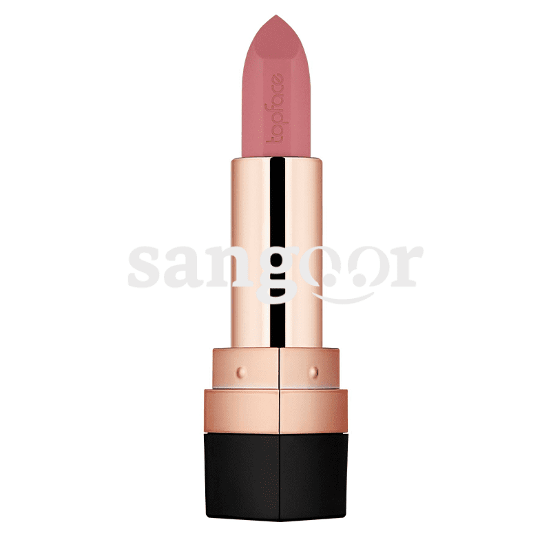 TOP-FACE-ROUGE-A-LEVRE-MATTE-INSTYLE-N005.