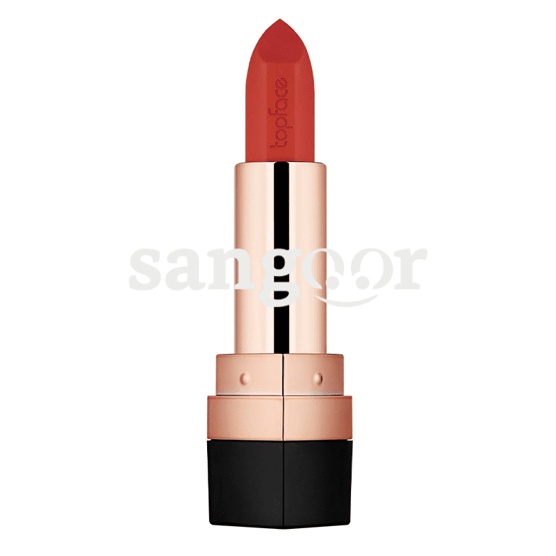 TOP-FACE-ROUGE-A-LEVRE-MATTE-INSTYLE-N013.
