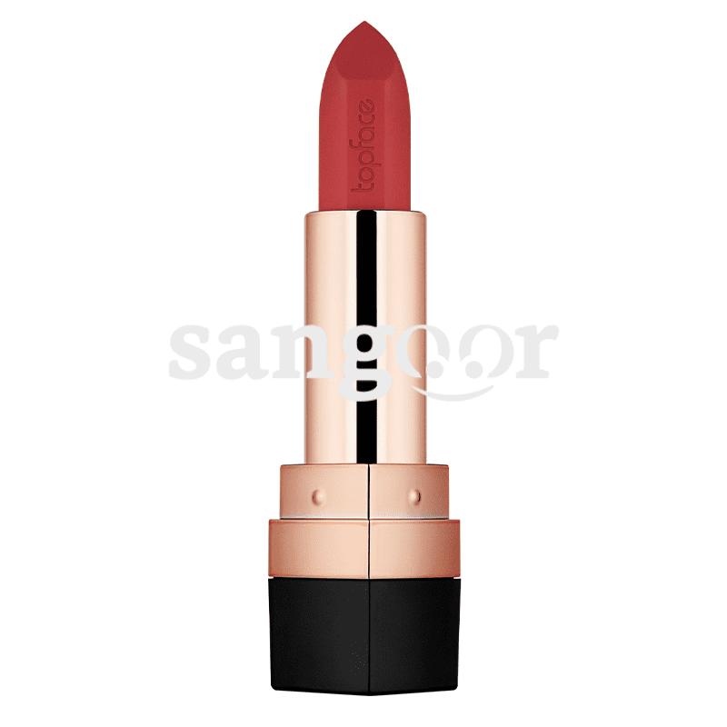 TOP-FACE-ROUGE-A-LEVRE-MATTE-INSTYLE-N017.