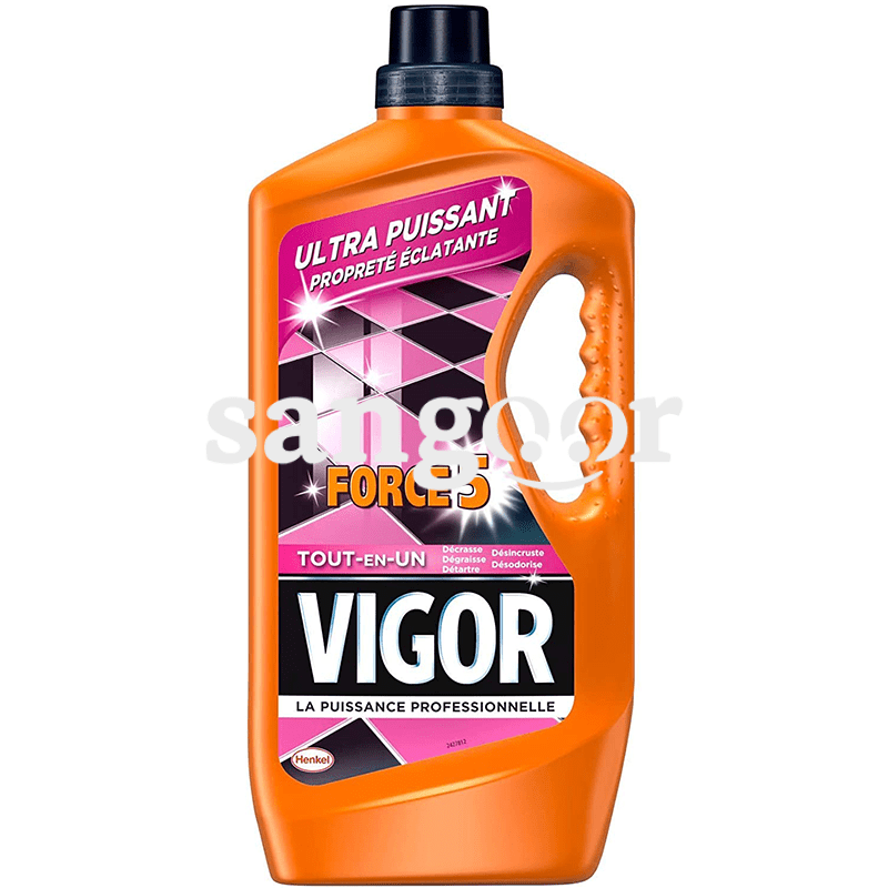 VIGOR-SOL-TOUT-EN-1-1.3L