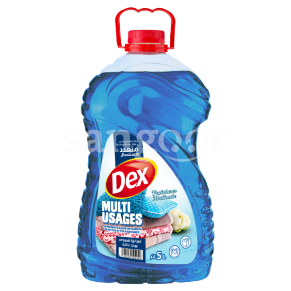 DEX-LESSIVE-MULTI-USAGE-5L-FRAICHEUR-MATINALE.png.Prix Tunisie