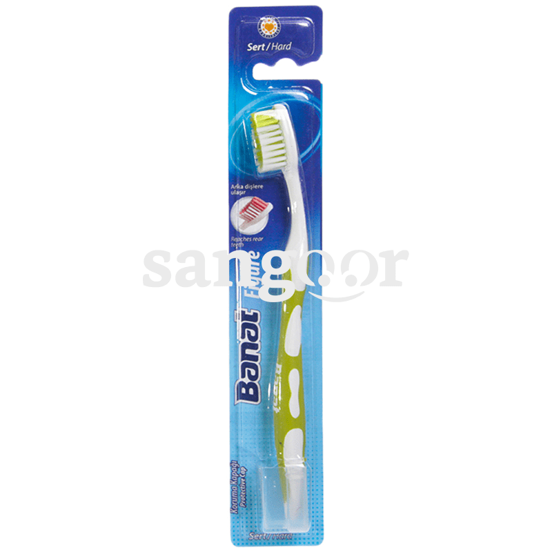 BANAT BROSSE A DENT FIGURE HARD