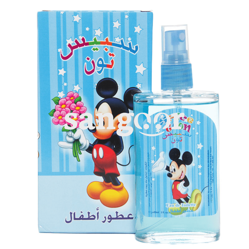 SPICETOON EAU DE TOILETTE 100ML