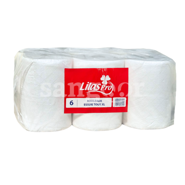LILAS-PRO-ESSUIE-TOUT-6PCS-XL-750G.png Prix Tunisie
