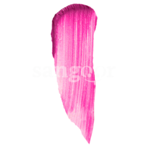 TOP FACE GLOSS MATTE INSTYLE N029--SANGOUR.TN-TUNISIE.