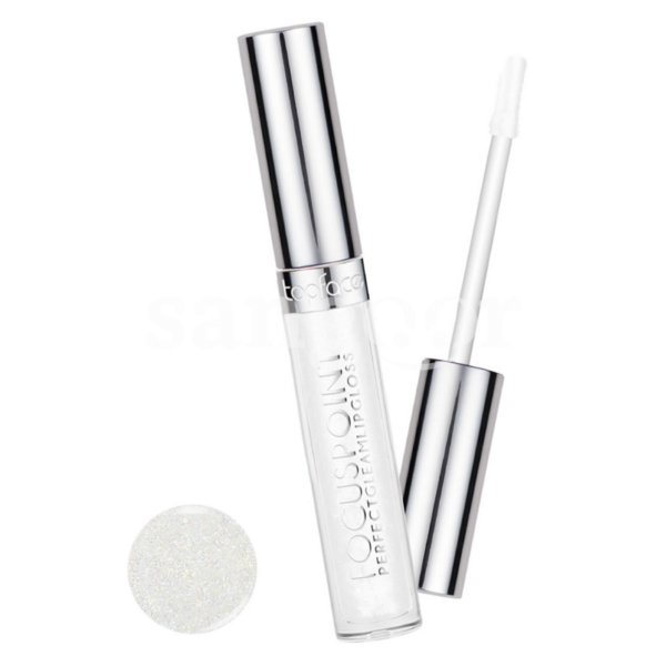 TOP FACE LIP GLOSS N102 FOCUS POINT PERFECT GLAM-SANGOUR.TN-TUNISIE.