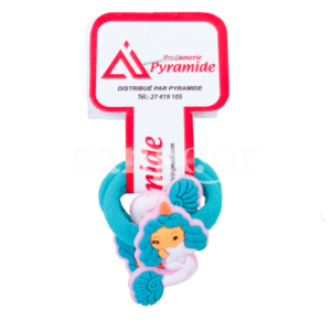 PYRAMIDE-ELASTIQUE-022-2.png Prix Tunisie