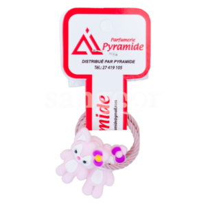 PYRAMIDE-ELASTIQUE-039-3.png Prix Tunisie
