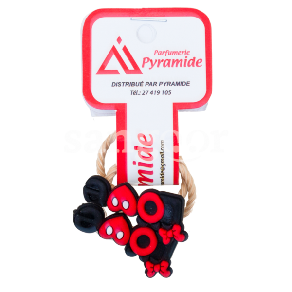 PYRAMIDE-ELASTIQUE-042.png Prix Tunisie