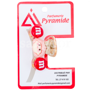 PYRAMIDE-PINCE-CHEVEUX-001-2.png Prix Tunisie