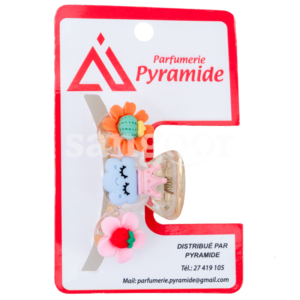 PYRAMIDE-PINCE-CHEVEUX-001-3.png Prix Tunisie