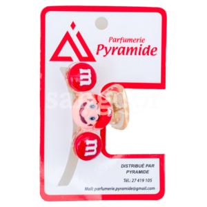 PYRAMIDE-PINCE-CHEVEUX-001.png Prix Tunisie