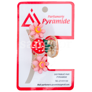 PYRAMIDE-PINCE-CHEVEUX-001-6.png Prix Tunisie