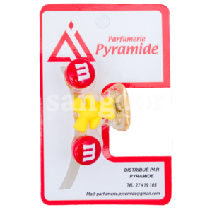 PYRAMIDE-PINCE-CHEVEUX-001-8.png Prix Tunisie