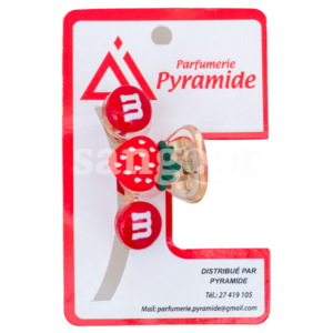 PYRAMIDE-PINCE-CHEVEUX-001-9.png Prix Tunisie