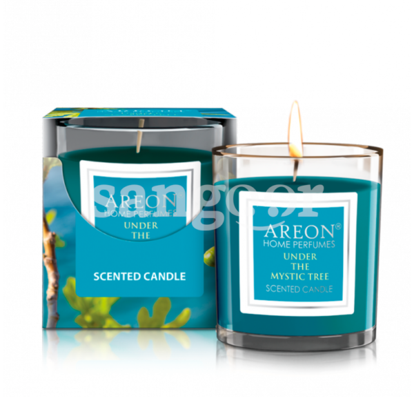 AREON-BOUGIE-PARFUME-120G-MYSTIC-TREE.png Prix Tunisie