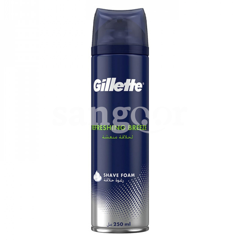 GILLETTE MOUSSE 200ML REFRESH BREEZE GILLETTE-MOUSSE-200ML-REFRESH-BREEZE.png Prix Tunisie