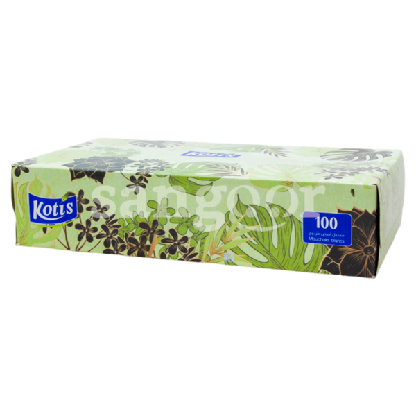 KOTIS-DISTRIBUTEUR-100PCS-BOUQUETS.png Prix Tunisie