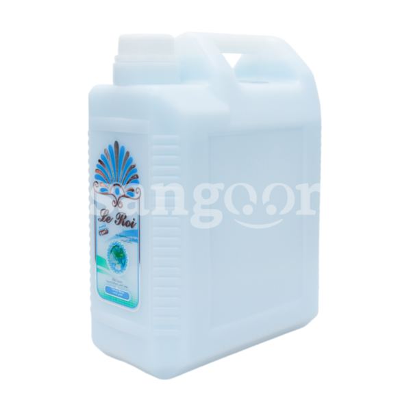 LE-ROI-SHAMPOING-2EN1-5L-MULTIVITAMINES.png Prix Tunisie