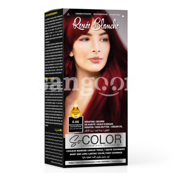 RENEE-BLANCHE-KIT-SO-COLOR-TEINTURE-N6.66-BLOND-FONCE-ROUGE-INTENSE.png Prix Tunisie