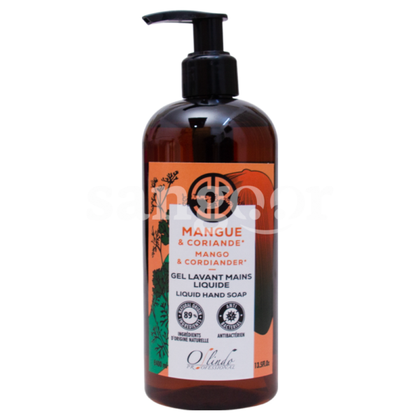 OLINDO-SAVON-LIQUIDE-ANTIBACTERIEN-400ML-MANGUE-ET-CORIANDE.png Prix Tunisie