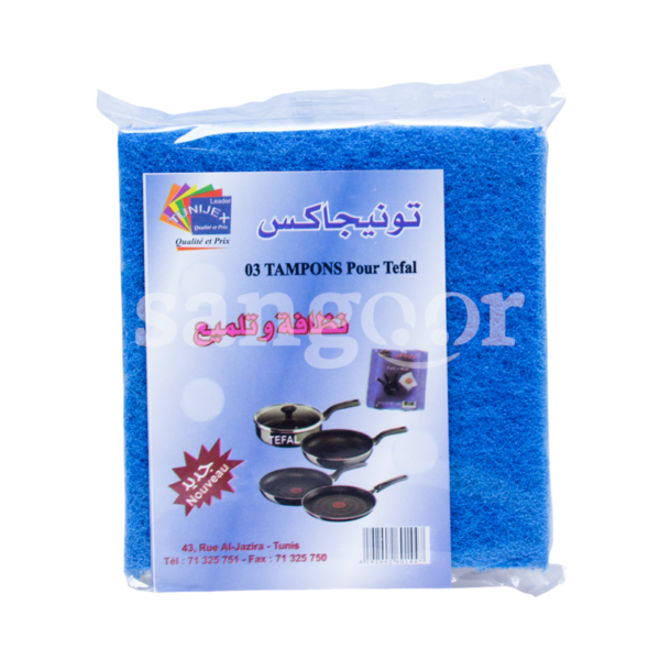 TUNIJEX-TAMPONS-ABRASIFS-POUR-TEFAL-3PCS.png Prix Tunisie