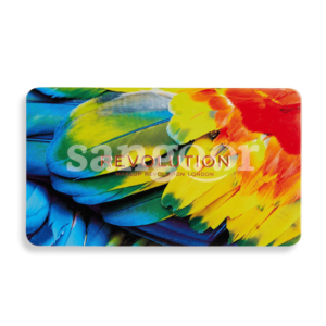 REVOLUTION-PALETTE-FARD-A-PAUPIERE-FOREVER-FLAWLESS-BIRDS-OF-PARADISE-2.png Prix Tunisie