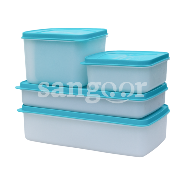 ALASKA-SERIE-5-BOITES-CONGELATION-BLEU-VERT-1.png Prix Tunisie