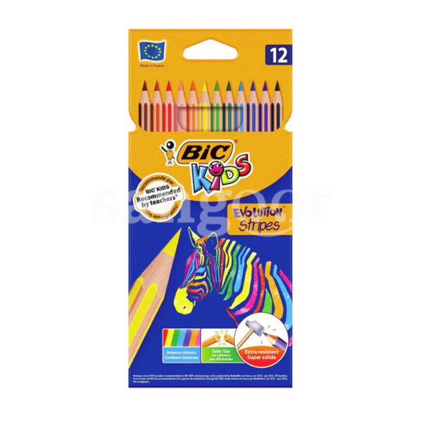 BIC-CRAYON-COULEUR-EVOLUTION-12PCS-18CM-STRIPES.png Prix Tunisie