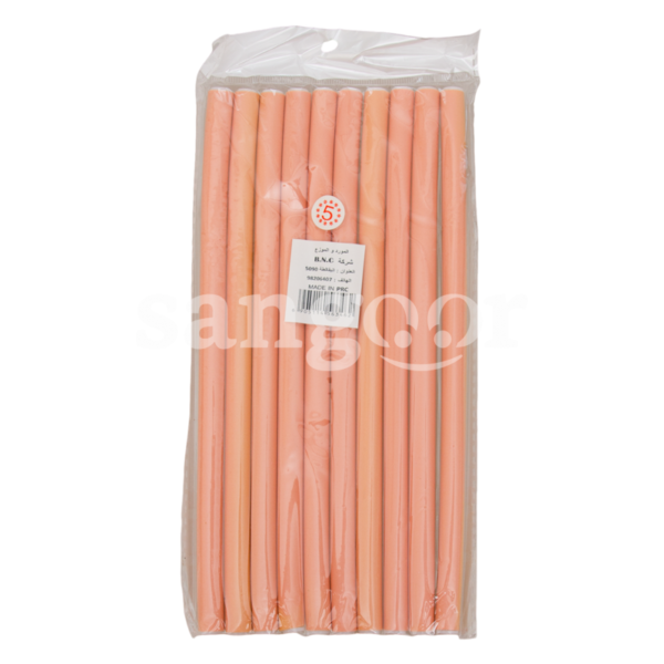 BIGOUDI-T5-10PCS.png.Prix Tunisie