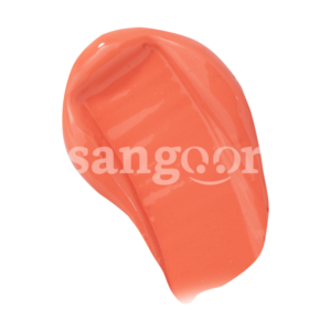 REVOLUTION-BLUSH-BOMB-PEACH-FILTER-2.png Prix Tunisie