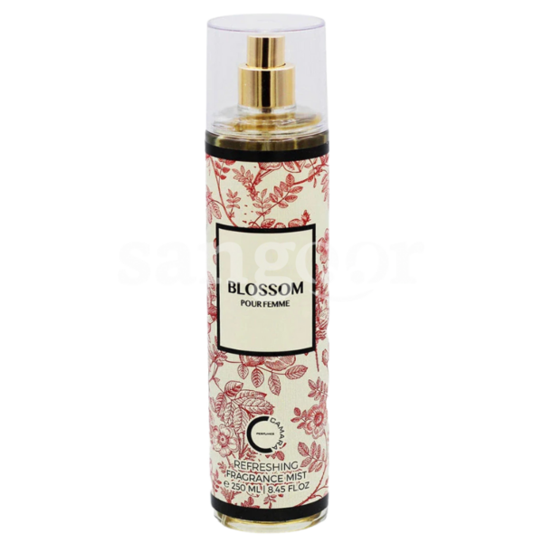 CAMARA-BRUME-PARFUMEE-250ML-BLOSSOM.png Prix Tunisie