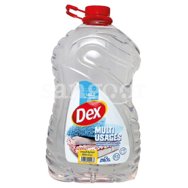 DEX-LESSIVE-MULTI-USAGE-5L-CLASSIC.png.Prix Tunisie