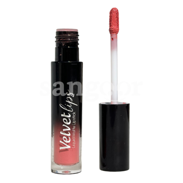 LELLA-GLOSS-MATTE-VELVET-LIPS-N13.png.Prix Tunisie