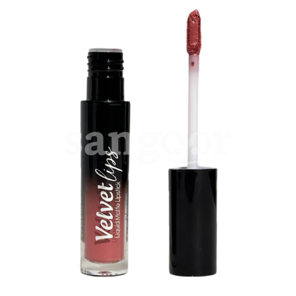 LELLA-GLOSS-MATTE-VELVET-LIPS-N14.png.Prix Tunisie