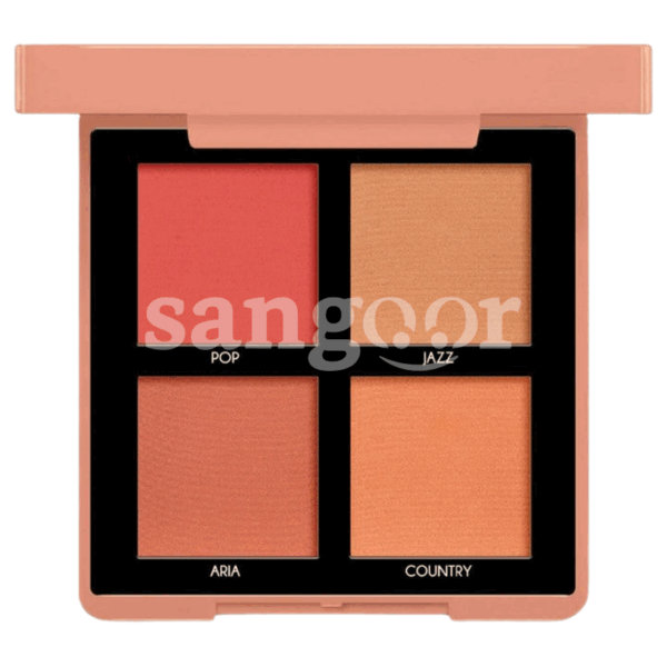 TOPFACE-PALETTE-BLUSH-MAESTRO-ACADEMY-N002.png.Prix Tunisie