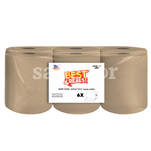 BEST-DEALS-ESSUIE-TOUT-BROWN-MAXI-600GR-6PCS.png.Prix Tunisie