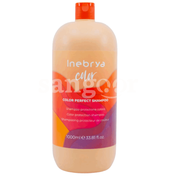 INEBRYA-SHAMPOING-1L-PROTECTION-COULEUR.png Prix Tunisie