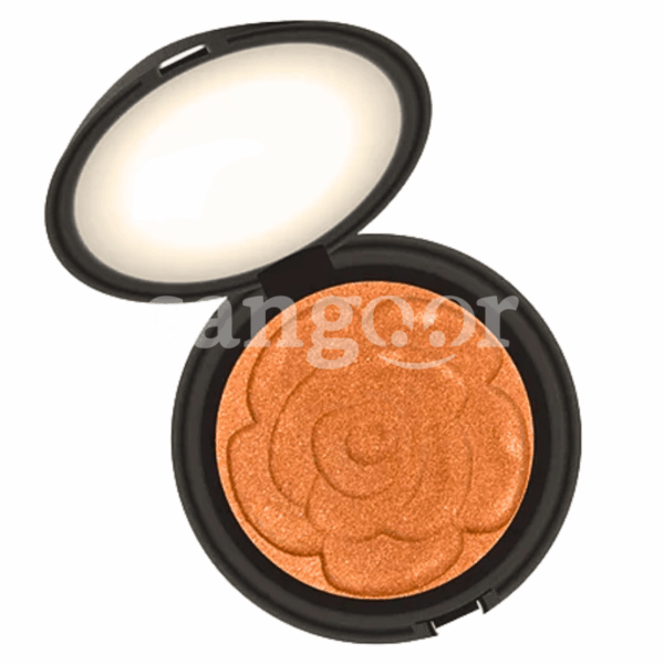 ELEGANT-FARD-A-JOUE-N01.png Prix Tunisie