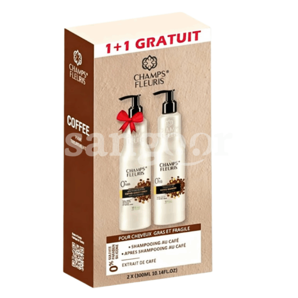 CHAMPS-FLEURIS-PACK-SHAMPOING-300ML-RECOVERY-APRES-SHAMPOING-GRATUIT.png.Prix Tunisie