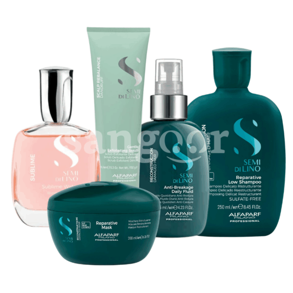 PACK-ALFAPARF-REPARATIVE-AVEC-BRUME-CHEVEUX.png. Prix Tunisie