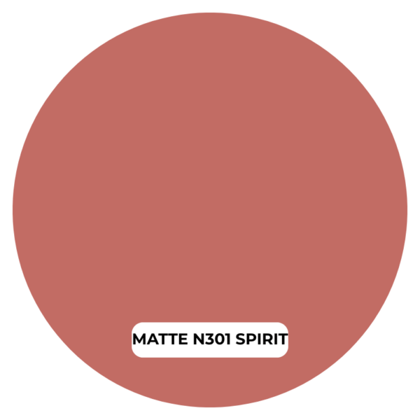 NOTE ROUGE A LEVRES MATTE MOIST LIPSTICK N301 SPIRIT Prix Tunisie