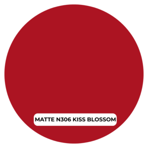 NOTE ROUGE A LEVRES MATTE MOIST LIPSTICK N306 KISS BLOSSOM Prix Tunisie