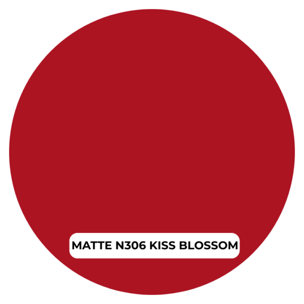 NOTE ROUGE A LEVRES MATTE MOIST LIPSTICK N306 KISS BLOSSOM Prix Tunisie