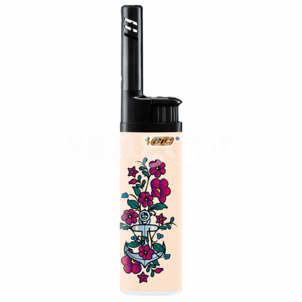 BIC-BRIQUET-J38-DECORS.png.Prix Tunisie