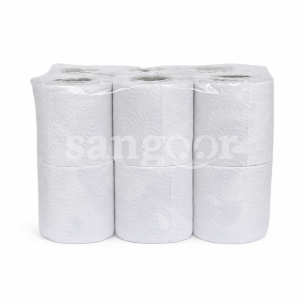 LILAS-PRO-PAPIER-HYGIENIQUE-2PLIS-12PCS.png.Prix Tunisie