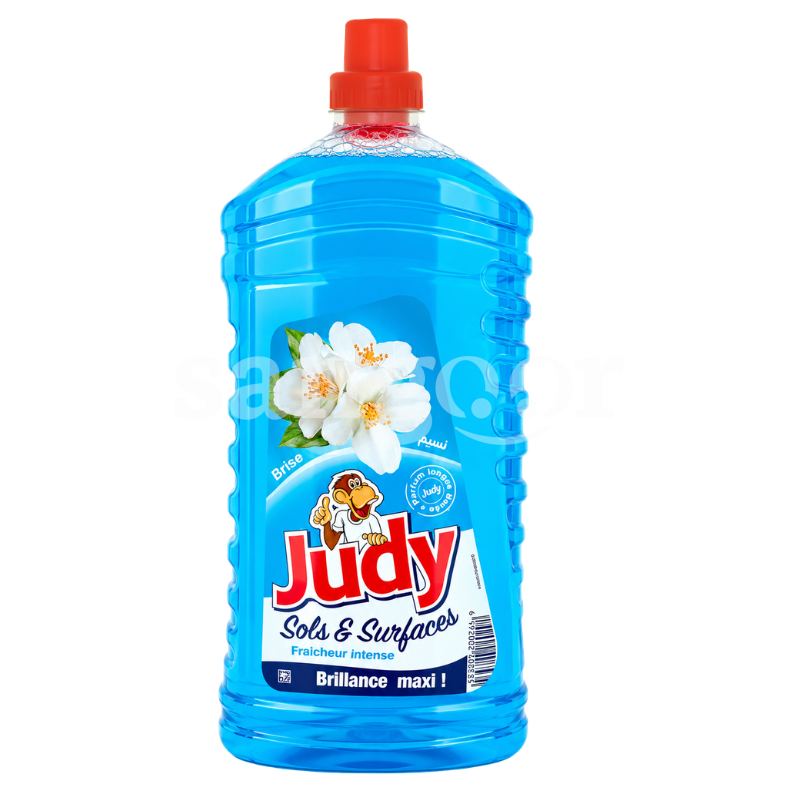 JUDY SOLS ET SURFACES 2.4L BRISE JUDY SOLS ET SURFACES 2.4L BRISE Prix Tunisie